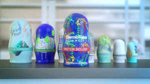 ThermoFisher Dolls